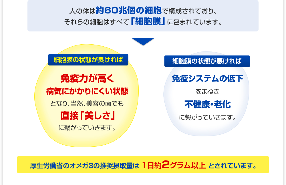 ”オメガ3”は、細胞膜を作る原材料